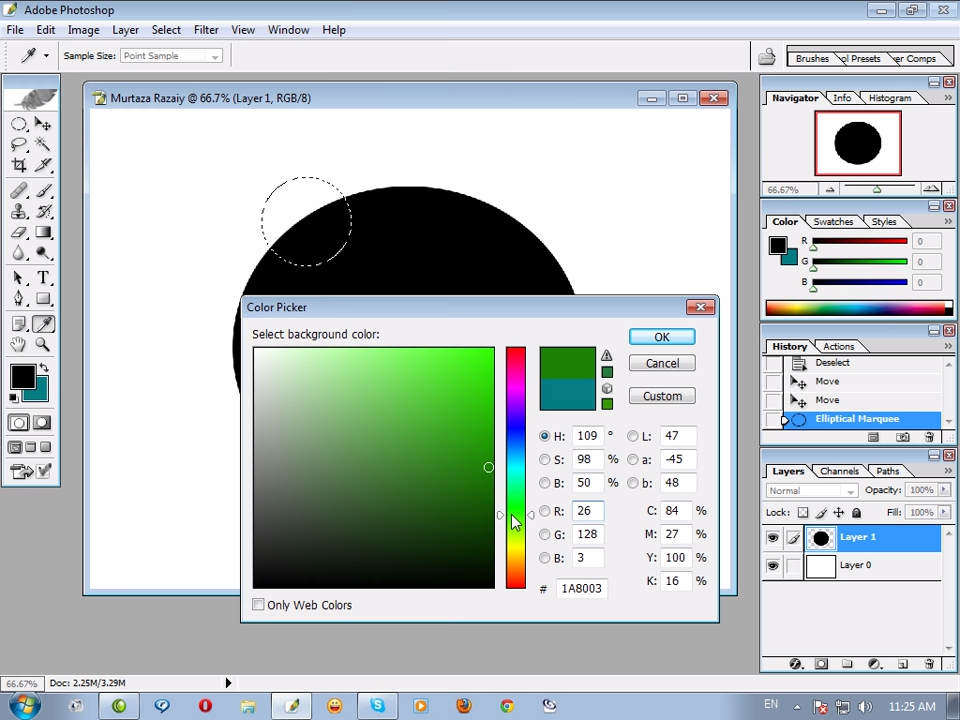 Adobe Photoshop CS for Windows Color Picker (2003)